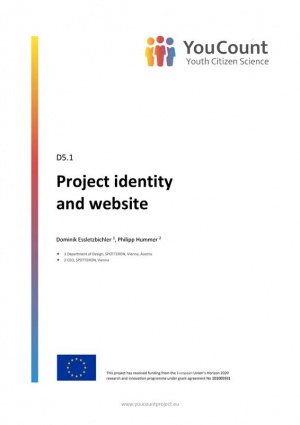 Project Identity and website