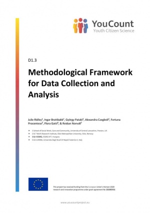 Methodological Framework for Data Collection and Analysis